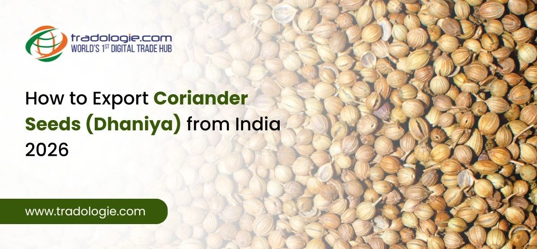 How to Export Indian Coriander Seeds (Dhaniya) in 2026