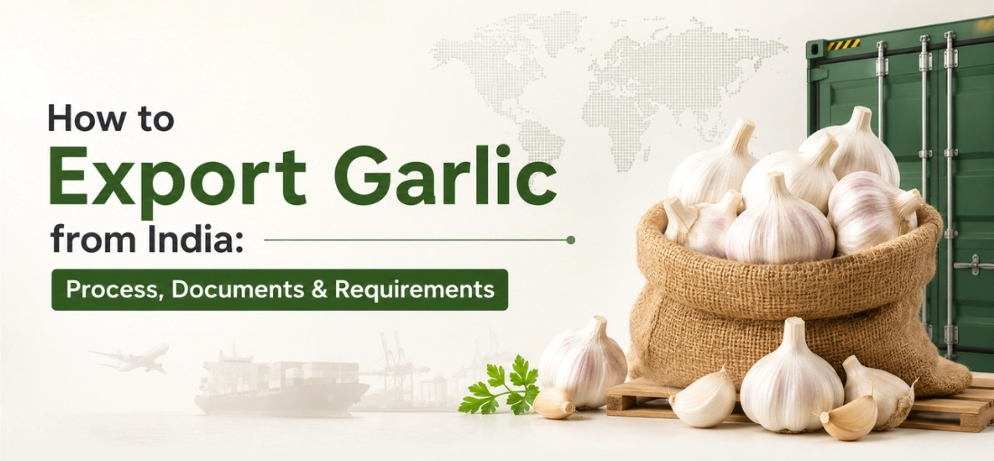 How to Export Garlic from India Process, Documents