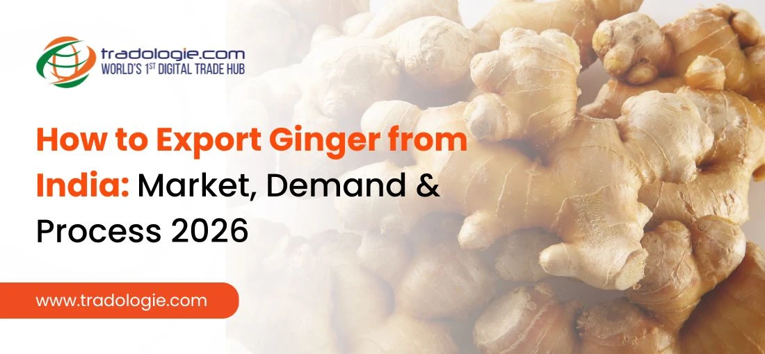How to Export Ginger from India Market, Demand & Process 2026