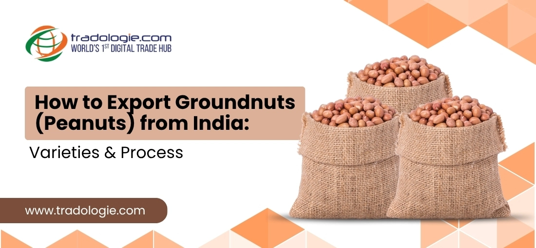 How to Export Groundnuts (Peanuts) from India: Varieties & Process