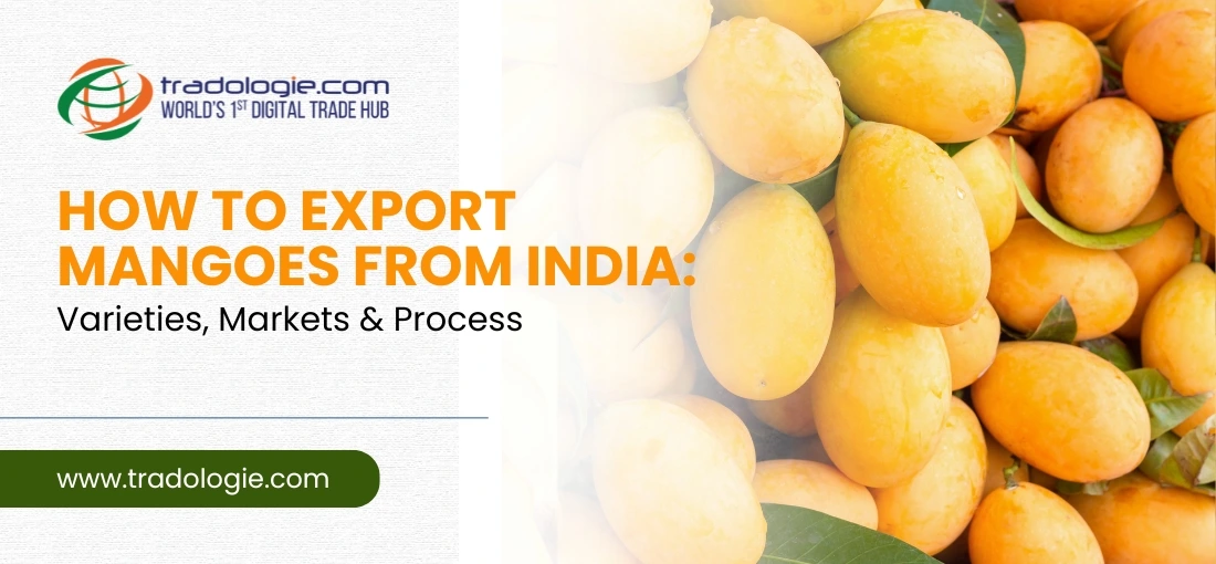 How to Export Mangoes from India: Varieties, Markets & Process