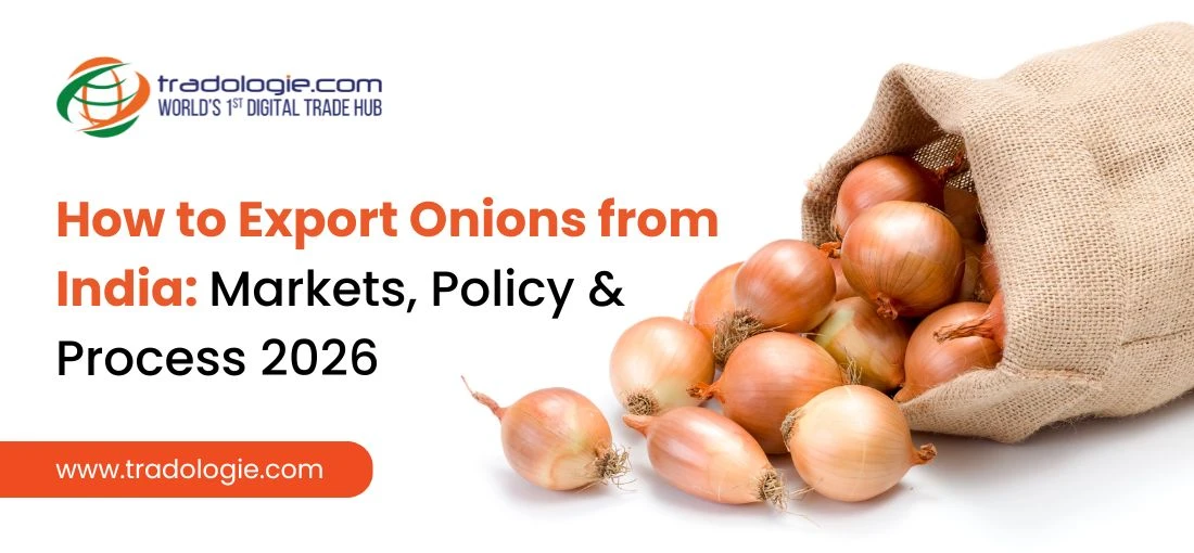 How to Export Onions from India: Markets, Policy & Process (2026 Guide)