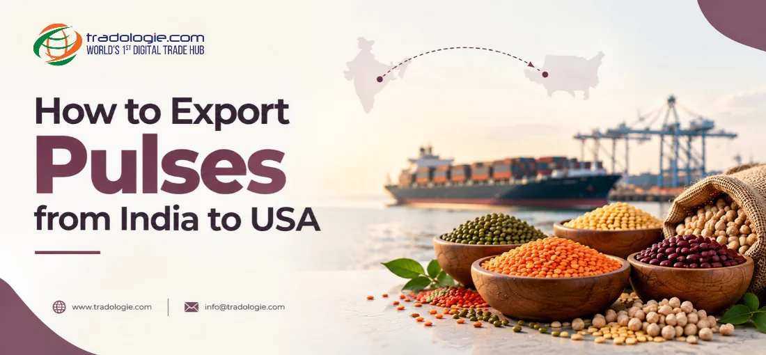 How to export pulses from india to usa