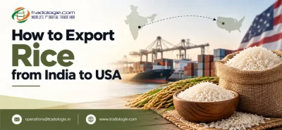 How to Export Rice from India to USA: Requirements, Documents & Process