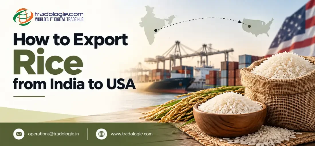 How to Export Rice from India to USA: Requirements, Documents & Process
