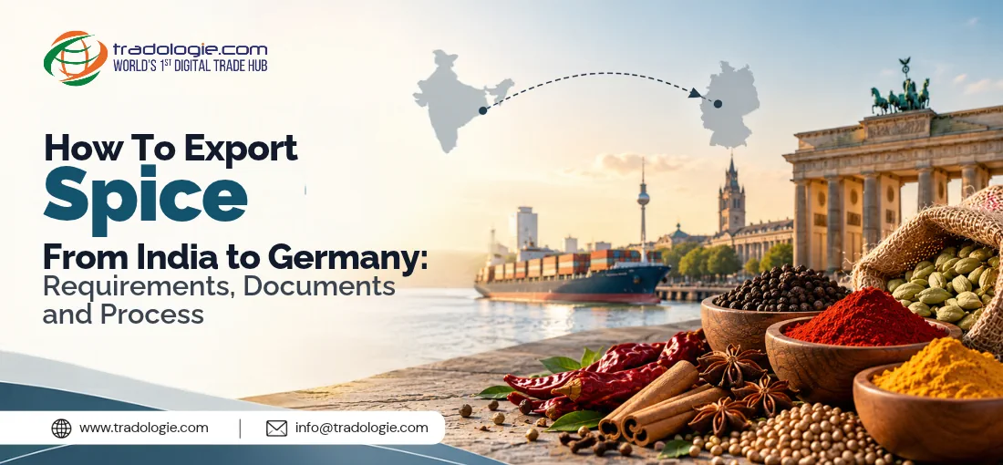 How To Export Spice From India to Germany: Requirements, Documents and Process