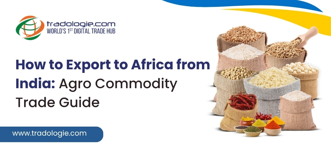 How to Export to Africa from India: The Complete Farm Trade Guide