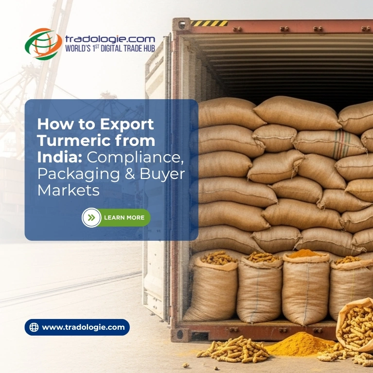 How to Export Turmeric from India: Compliance, Packaging & Buyer Markets