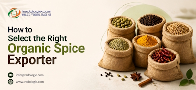 How to Select the Right Organic Spice Exporter