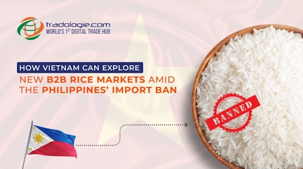 How Vietnam Can Explore New B2B Rice Markets Amid the Philippines Import Ban