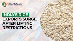 India's Rice Exports Surge after Lifting Restrictions