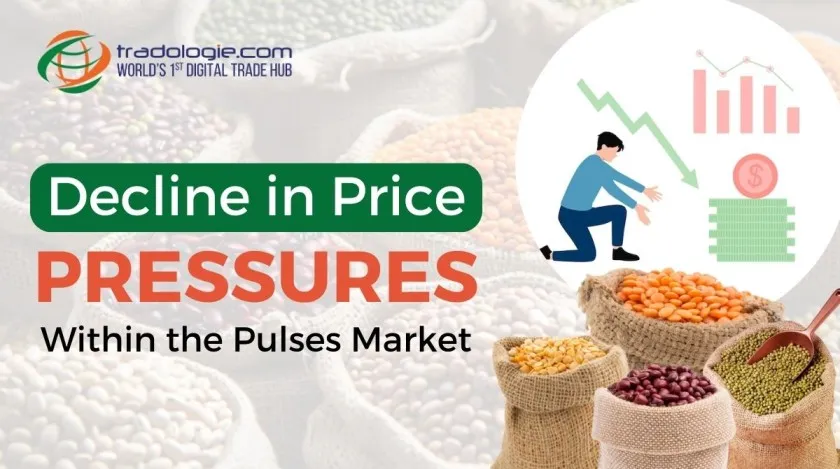 Impact of Pulses Price Decline in the Export Market Impact of Pulses Price Decline in the Export Market