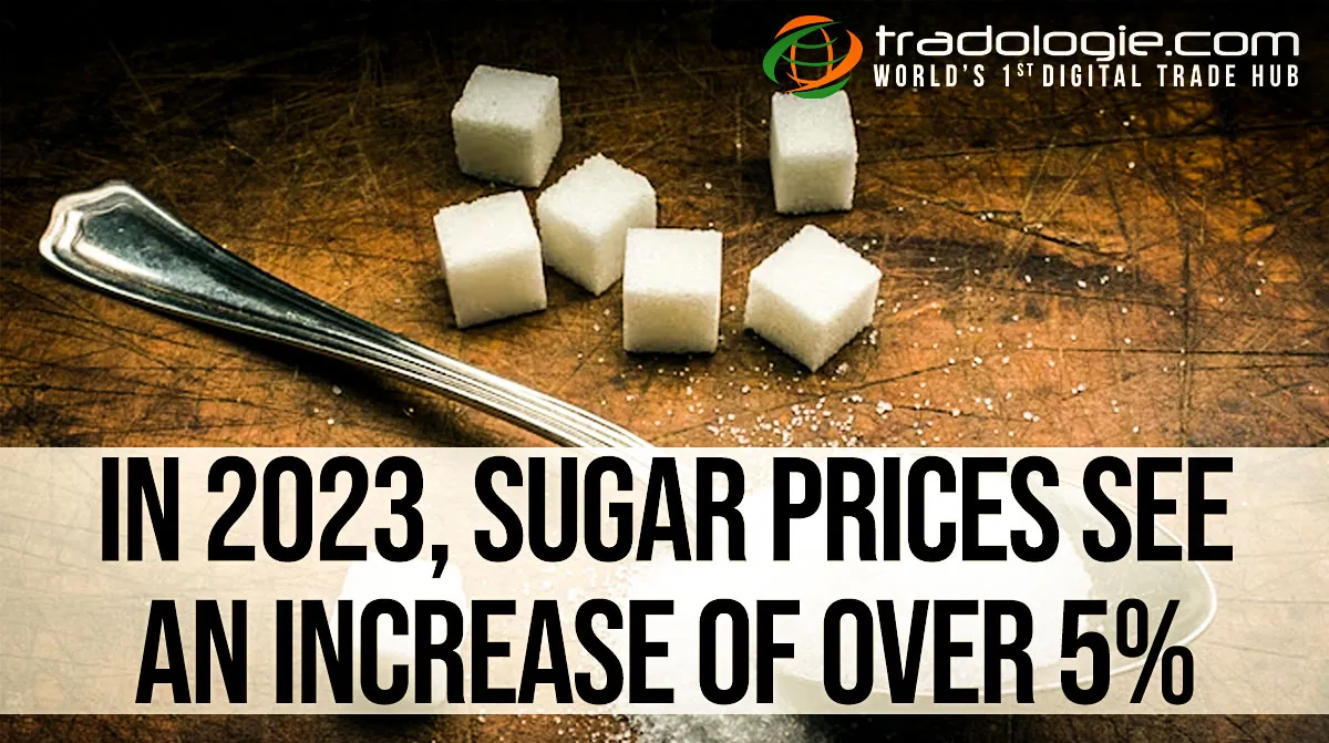 In 2023, Sugar Prices See An Increase Of Over 5% In 2023, Sugar Prices See An Increase Of Over 5%