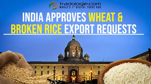 India Approves Wheat And Broken Rice Export Requests