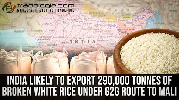 India Likely To Export 290,000 Tonnes Of Broken White Rice Under G2G Route To Mali