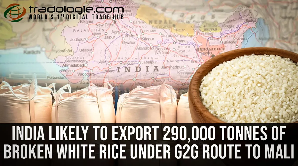 India Likely To Export 290,000 Tonnes Of Broken White Rice Under G2G Route To Mali