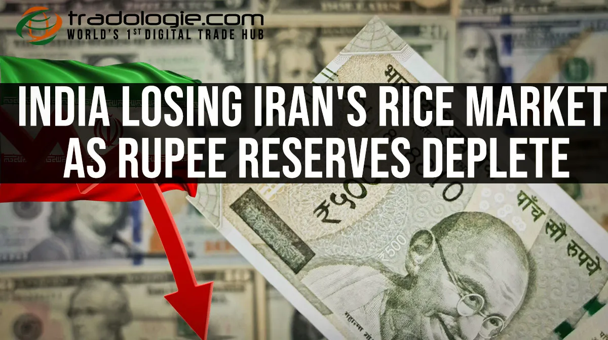 India Losing Iran Rice Market As Rupee Reserves Deplete India Losing Iran Rice Market As Rupee Reserves Deplete
