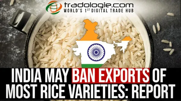India May Ban Exports Of Most rice Varieties: Report