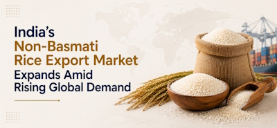 India Non-Basmati Rice Export Market Expands Amid Rising Global Demand