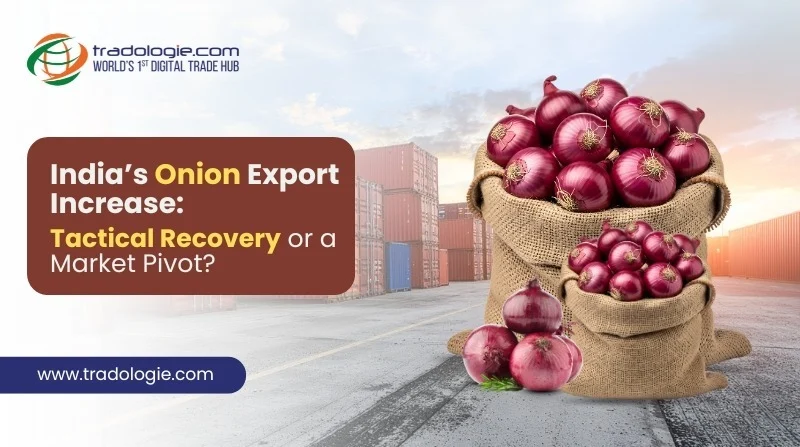 India’s Onion Export Increase: Tactical Recovery or a Market Pivot?