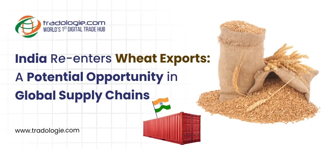 India Re-enters Wheat Exports: A Potential Opportunity in Global Supply Chains