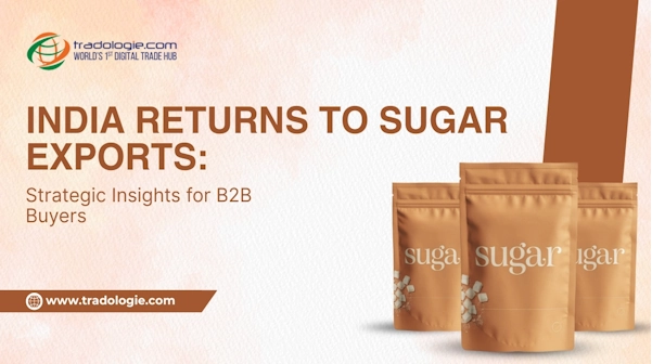 India Returns to Sugar Exports: Strategic Insights for B2B Buyers