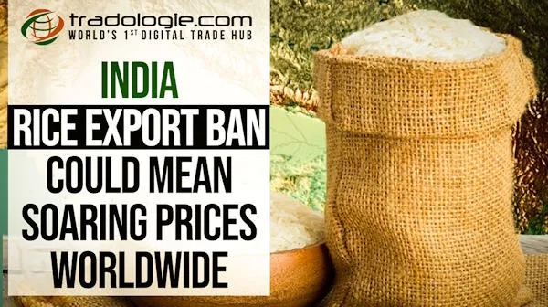 India Rice Export Ban Could Mean Soaring Prices Worldwide