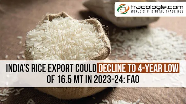 India’s Rice Export Could Decline To 4-Year Low Of 16.5 Mt In 2023-24: FAO