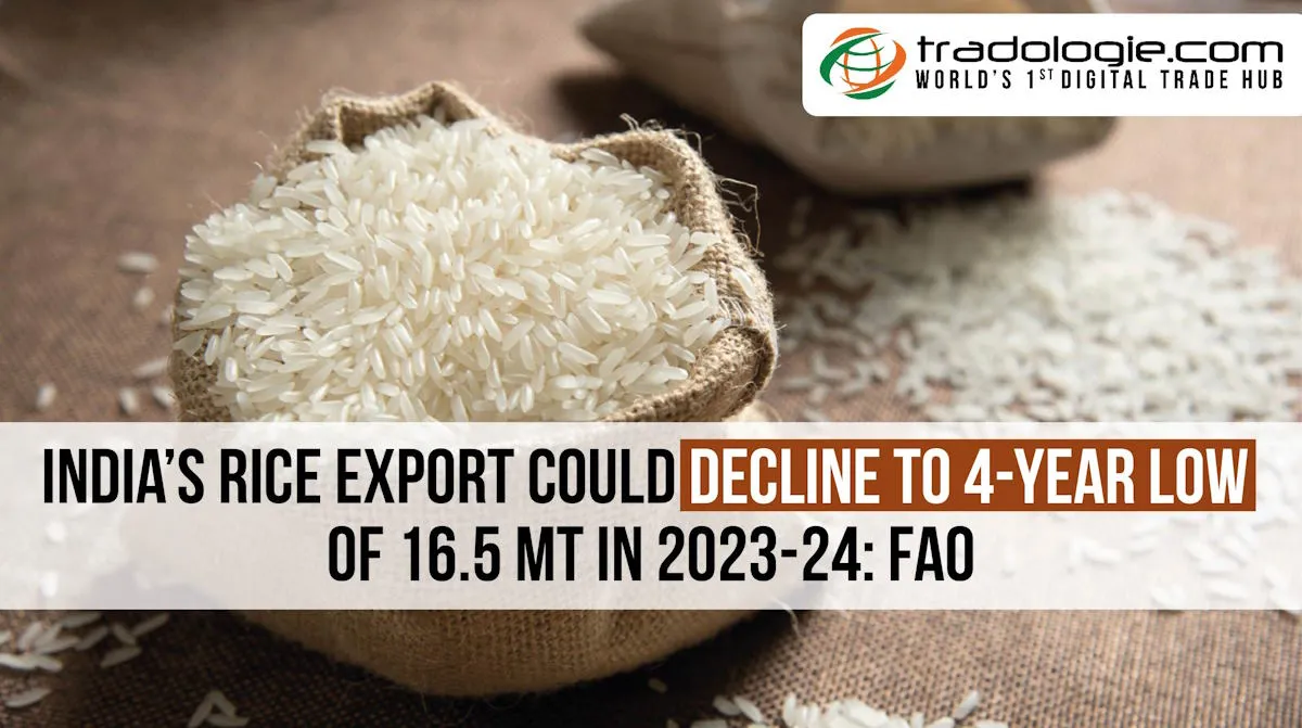 India’s Rice Export Could Decline To 4-Year Low Of 16.5 Mt In 2023-24: FAO India’s Rice Export Could Decline To 4-Year Low Of 16.5 Mt In 2023-24: FAO