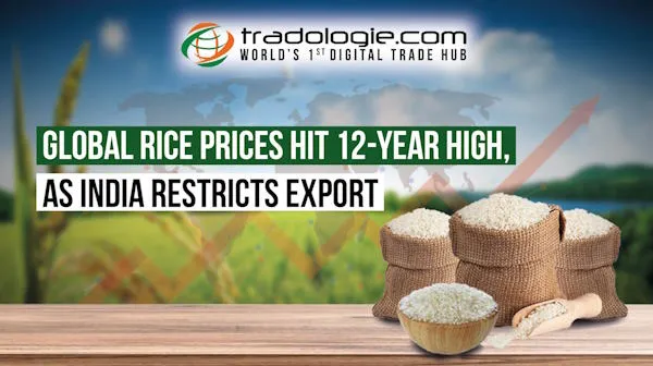 India’s Rice Export Restrictions Lead to a 12-year Peak in Global Rice Prices