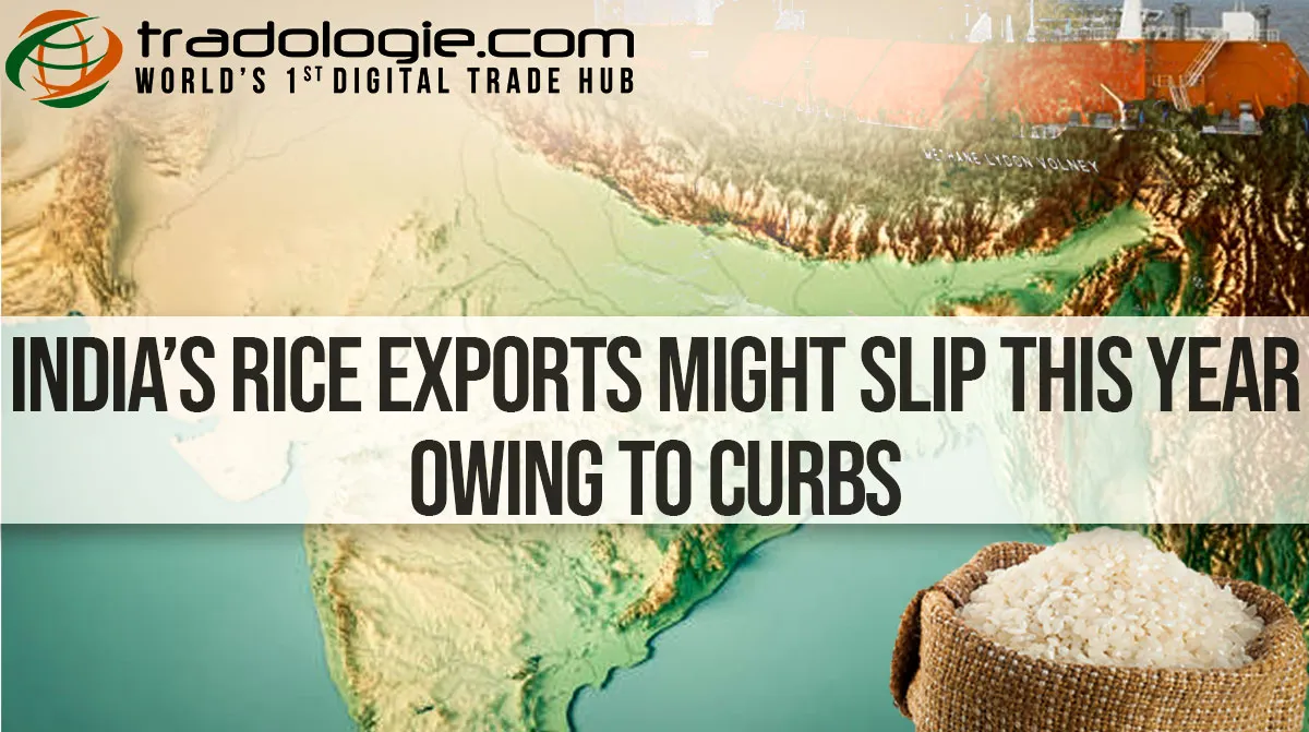 India’s Rice Exports Might Slip This Year Owing To Curbs India’s Rice Exports Might Slip This Year Owing To Curbs