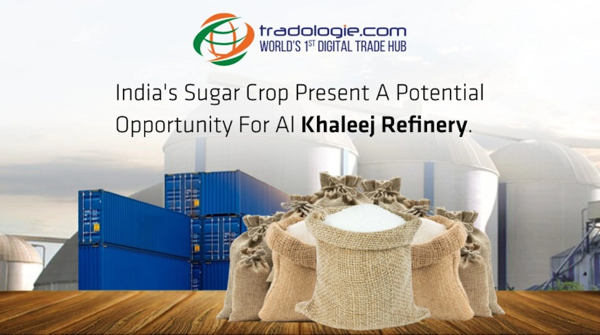 India's Sugar Crop Present a Potential Opportunity for Al Khaleej Refinery