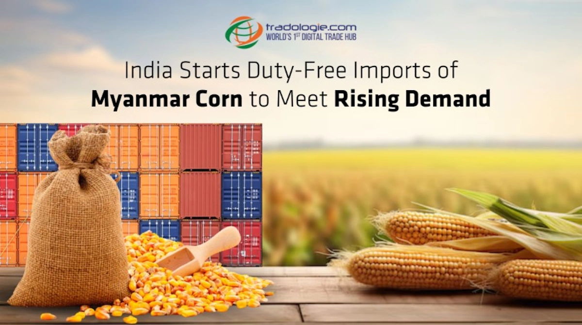 India Starts Duty-Free Imports of Myanmar Corn to Meet Rising Demand
