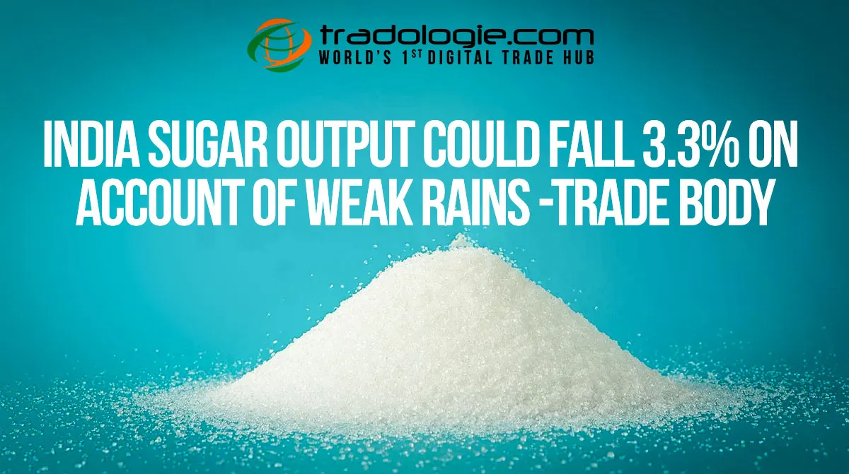 India Sugar Output Could Fall 3.3% On Weak Rains -Trade Body India Sugar Output Could Fall 3.3% On Weak Rains -Trade Body