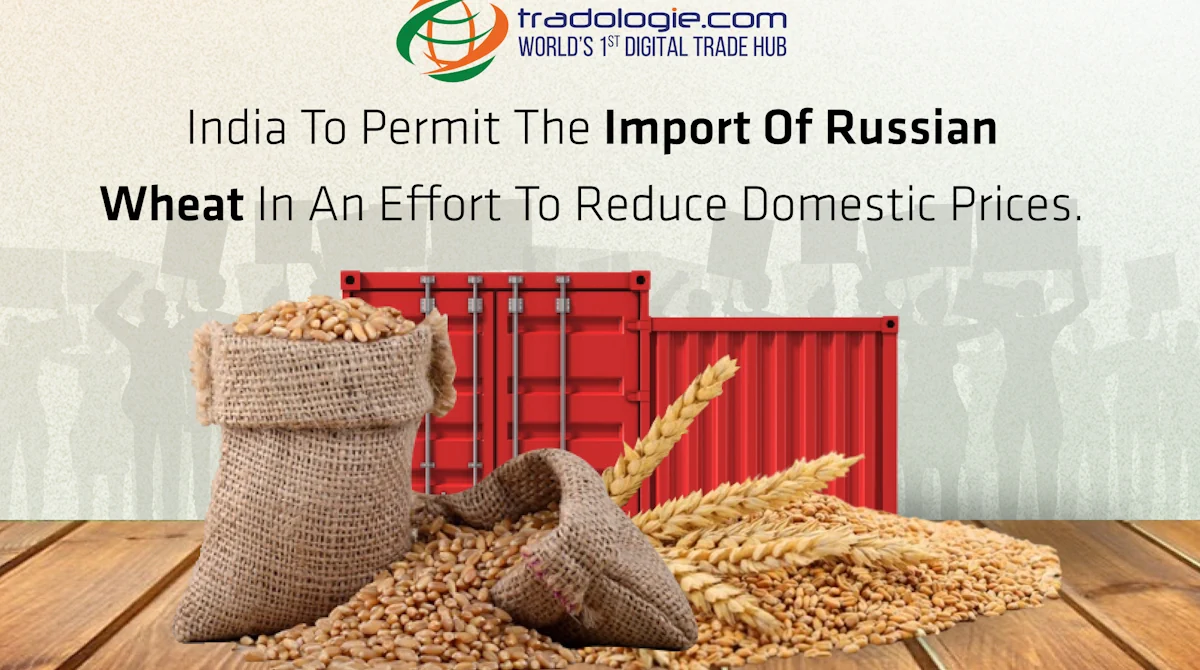 India To Permit The Import Of Russian Wheat In An Effort To Reduce Domestic Prices India To Permit The Import Of Russian Wheat In An Effort To Reduce Domestic Prices