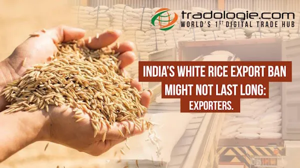 India’s White Rice Export Ban Might Not Last Long: Exporters
