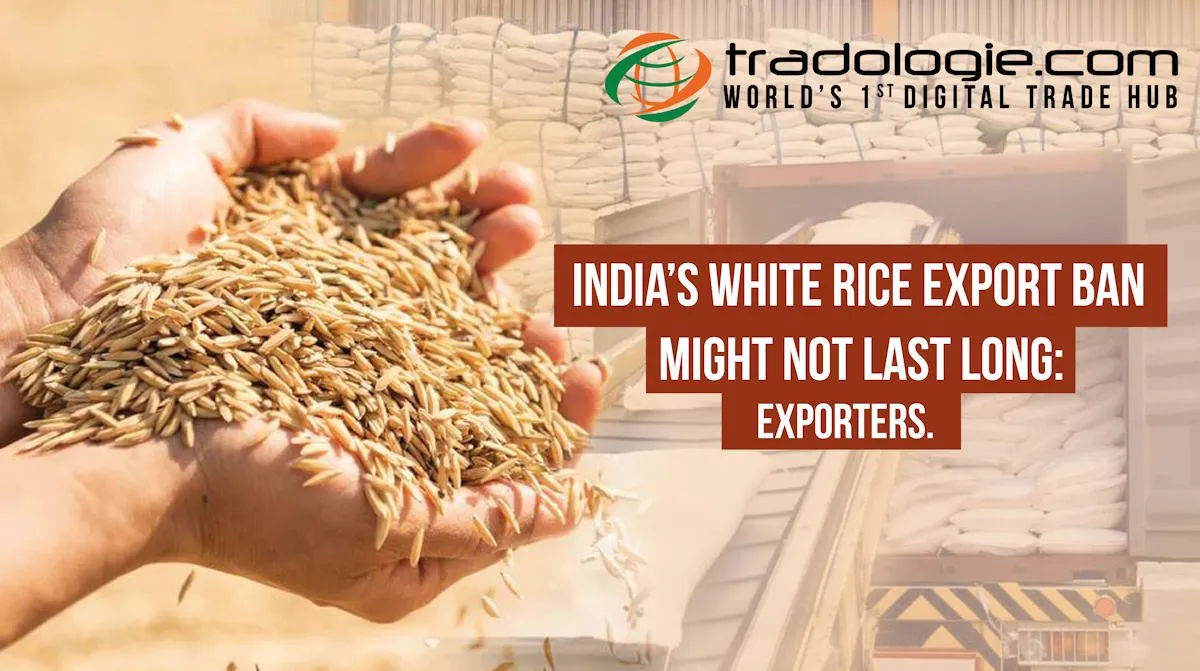 India’s White Rice Export Ban Might Not Last Long: Exporters India’s White Rice Export Ban Might Not Last Long: Exporters