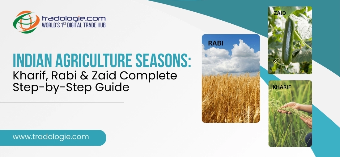 Indian Agriculture Seasons — Kharif, Rabi and Zaid Complete Guide