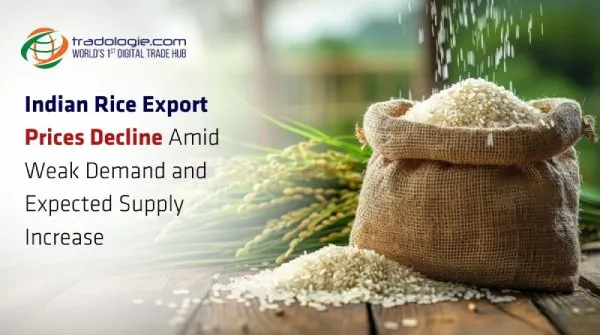 Indian Rice Export