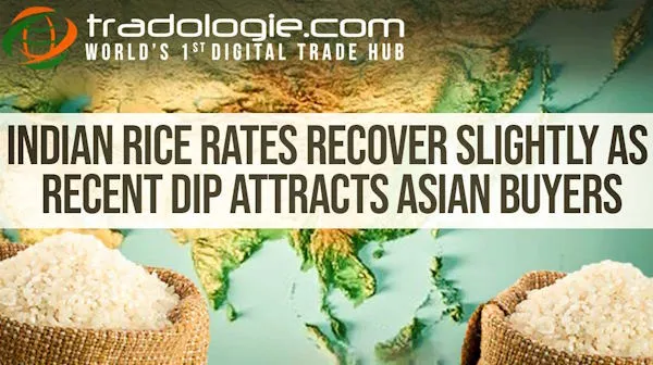 Indian Rice Rates Recover Slightly As Recent Dip Attracts Asian Buyers