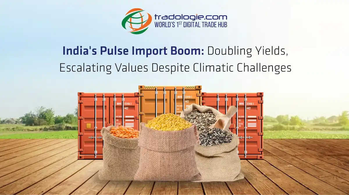 India Pulse Import Boom: Doubling Yields, Escalating Values Despite Climatic Challenges