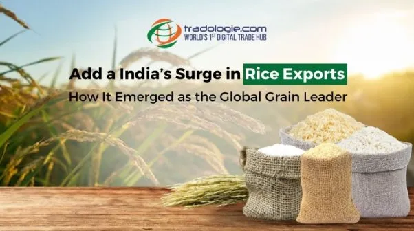 Indias Surge in Rice Exports