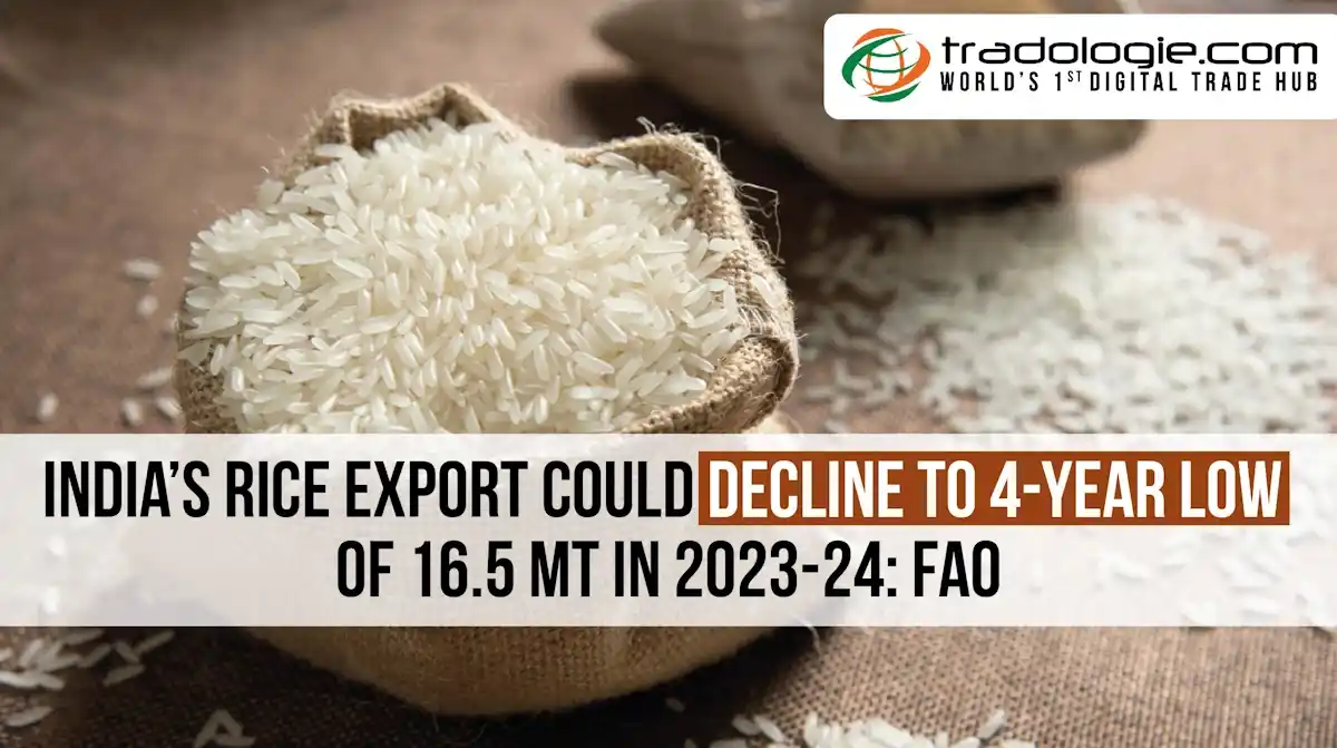 India’s Rice Export Could Decline To 4-Year Low Of 16.5 Mt In 2023-24: FAO
