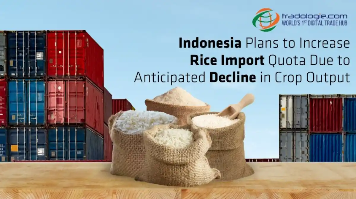Indonesia Plans to Increase Rice Import Quota