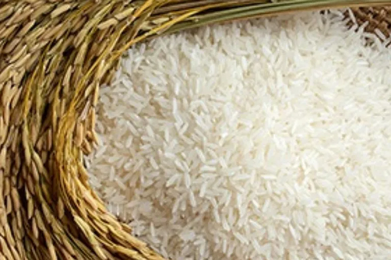 ir 64 long grain rice
