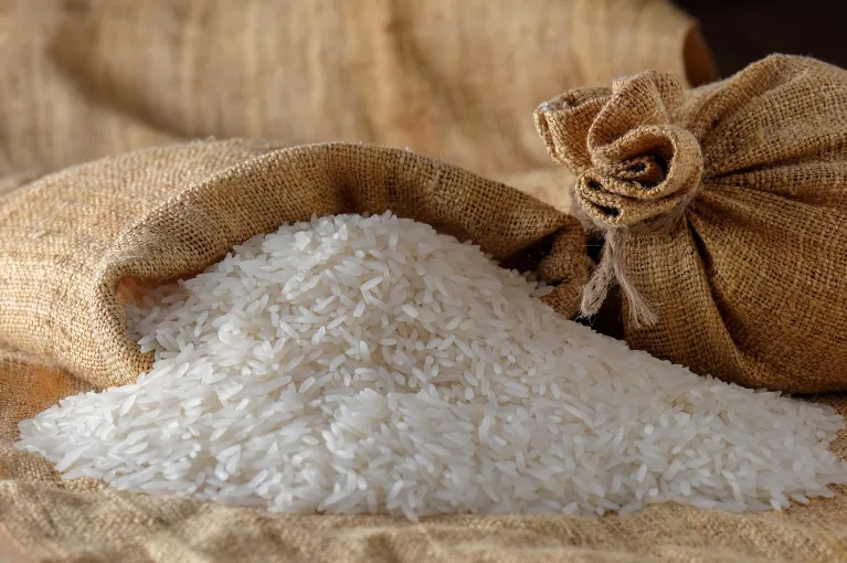 IRRI-9 Long Grain Rice