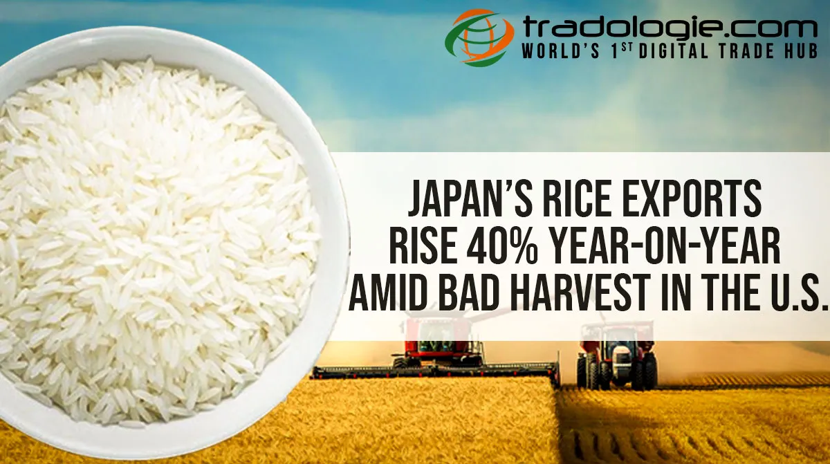 Japan’s Rice Exports Rise 40% Year-On-Year Amid Bad Harvest In The U.S.