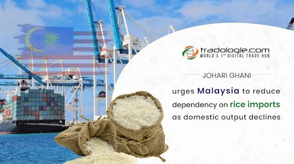 Johari Ghani Urges Malaysia To Reduce Dependency On Rice Imports As Domestic Output Declines