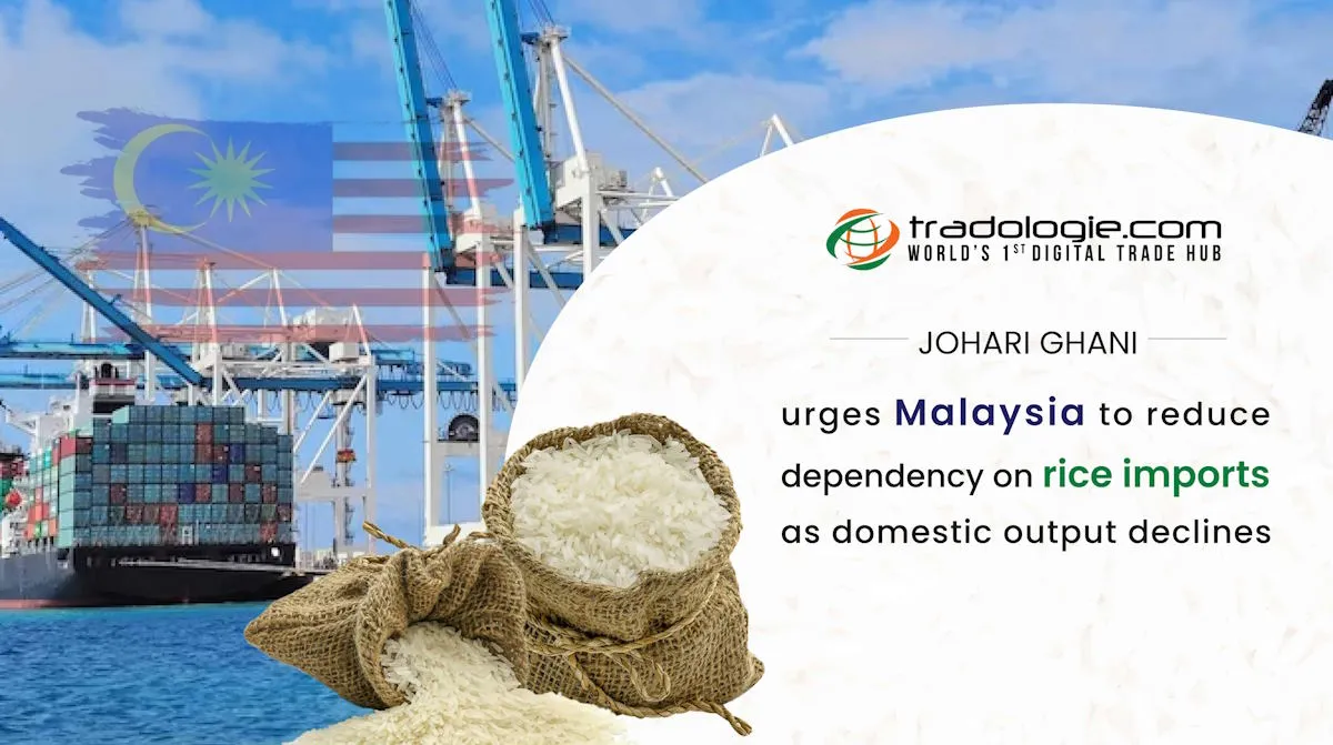 Johari Ghani Urges Malaysia To Reduce Dependency On Rice Imports As Domestic Output Declines