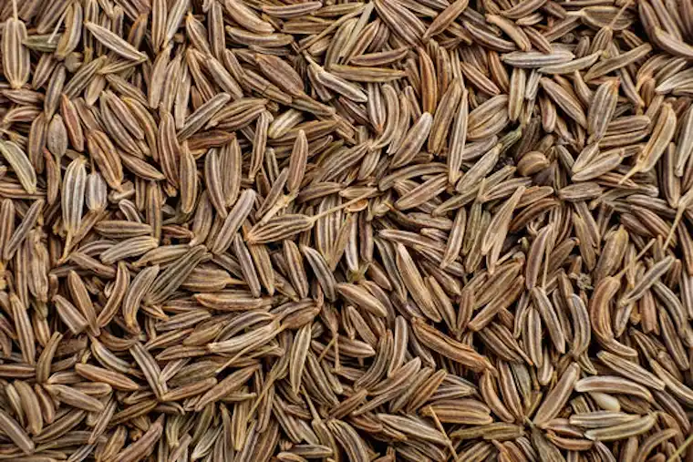 KALASH BOLD CUMIN SEEDS